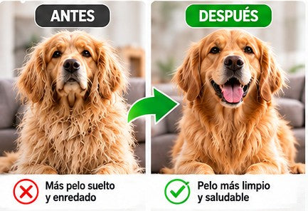 CEPILLO PARA MASCOTAS TIPO VORTICE